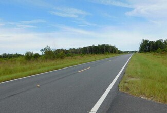 Plus de détails pour NW Bell Street, Lake City, FL - Terrain à vendre