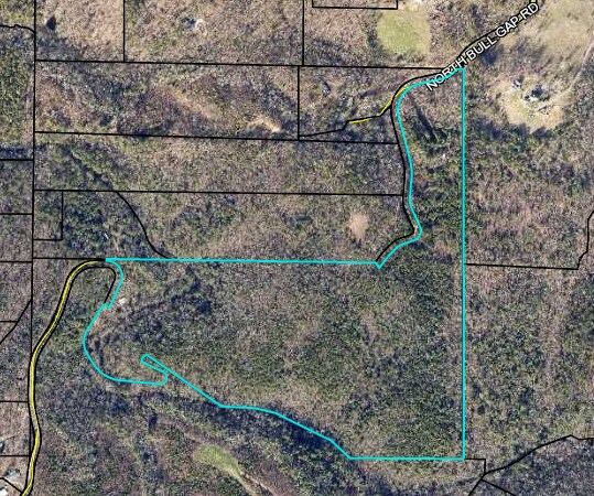 N Bull Gap RD, Talking Rock, GA à vendre - Aérien – Image 2 sur 3