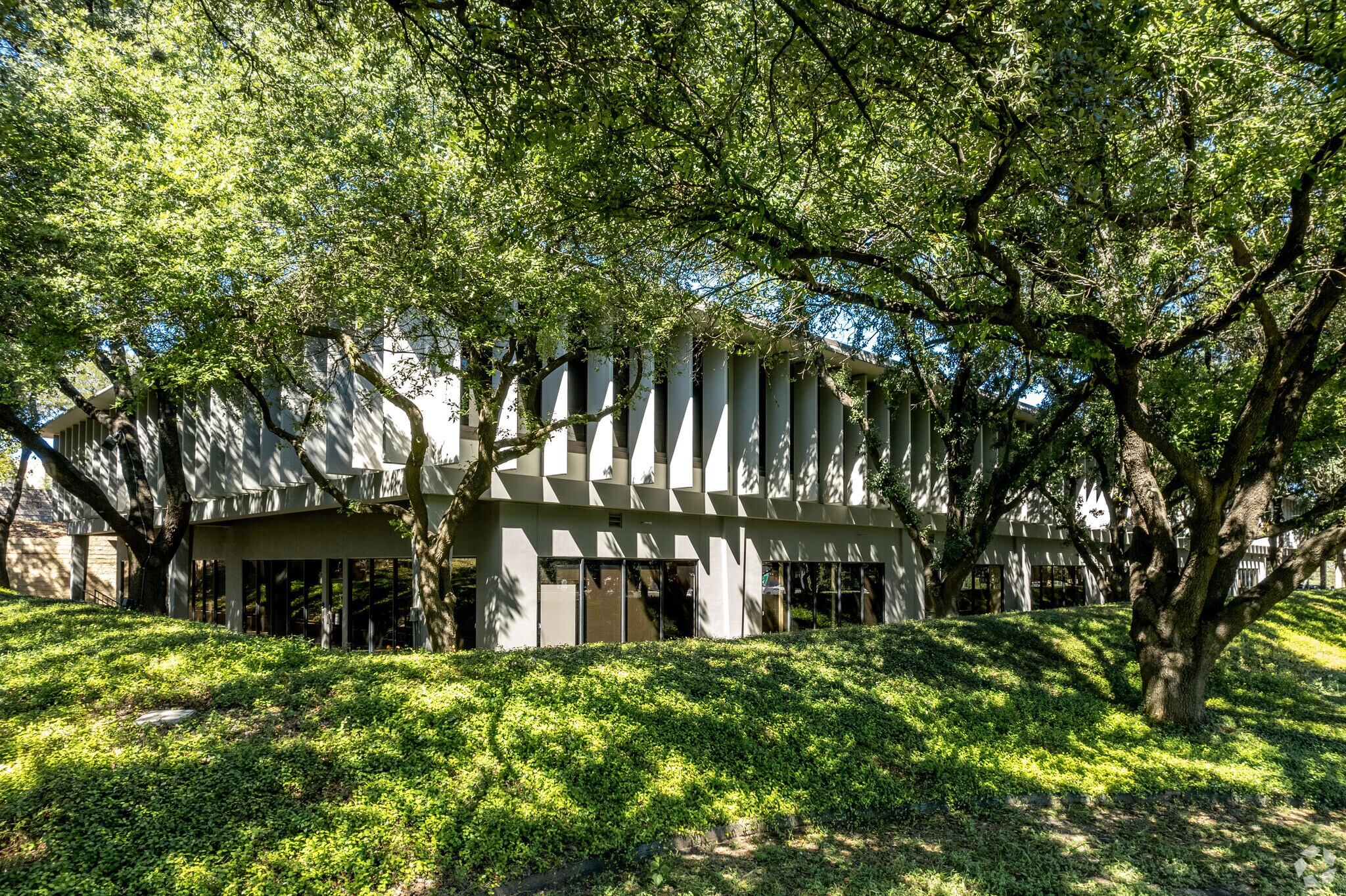 4800 fredericksburg Rd, San Antonio, TX à louer Photo principale– Image 1 sur 19
