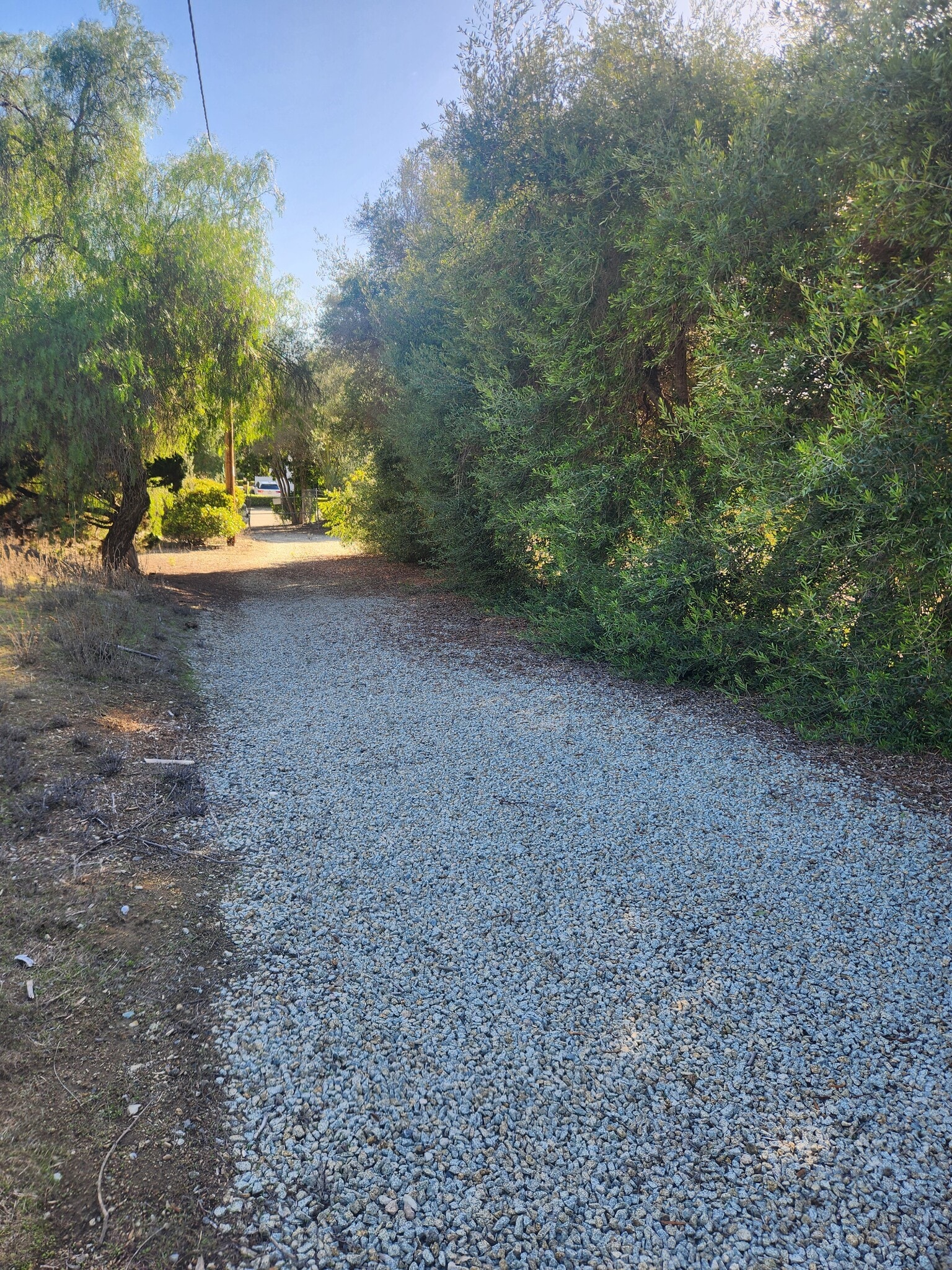 1252 Navel Pl, Vista, CA à louer Photo principale– Image 1 sur 9