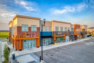 Plus de détails pour 75 Corner Meadows Park NE, Calgary, AB - Local commercial à vendre