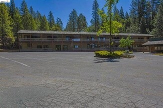 Plus de détails pour 19031 Michele Ln, Twain Harte, CA - Terrain à vendre