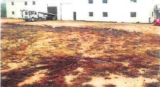 Plus de détails pour 1051 Lee Road 379, Smiths Station, AL - Terrain à vendre