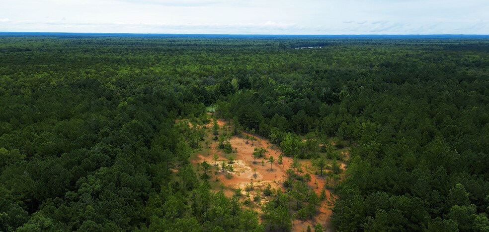 2250 Sam Royal Rd, Axis, AL à vendre - Photo de l’immeuble – Image 2 sur 6