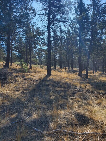5779 Engleman Spruce Way, Klamath Falls, OR à vendre - Photo de l’immeuble – Image 2 sur 7