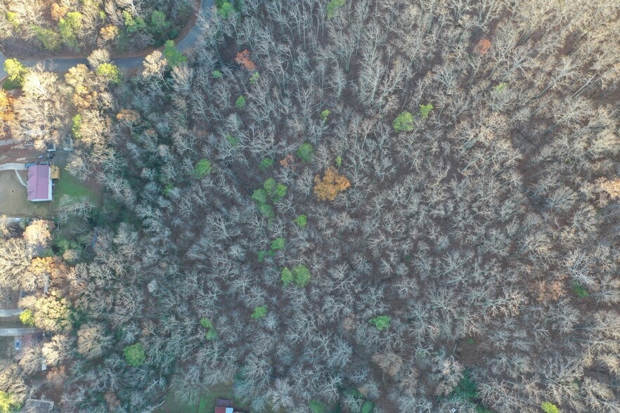 5688 Balboa Terrace, Pinson, AL à vendre - Aérien – Image 3 sur 8