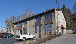 Plus de détails pour 41 Terence Dr, Pleasant Hills, PA - Bureau, Industriel/Logistique à louer