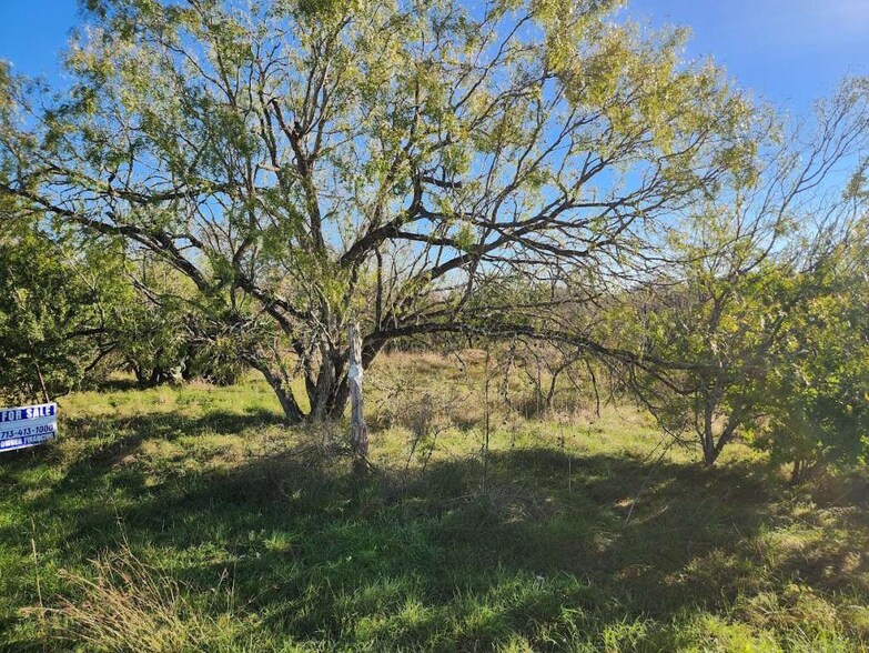 0 Schneider Rd, Seguin, TX à vendre - Photo principale – Image 1 sur 2