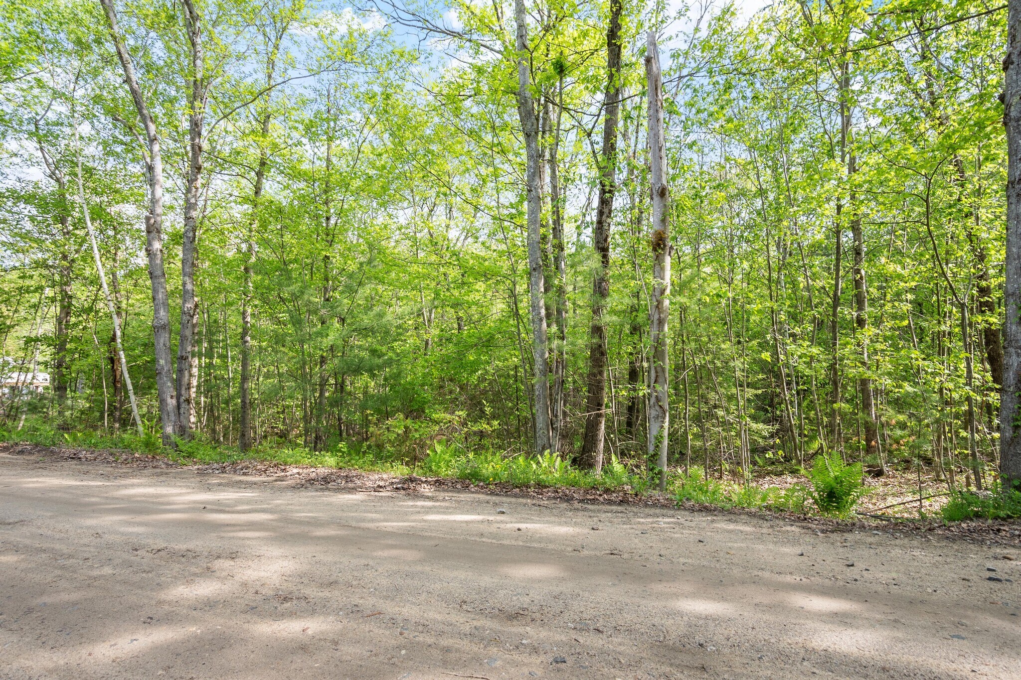 0 Whitney rd, Ashby, MA à vendre Photo de l’immeuble– Image 1 sur 17