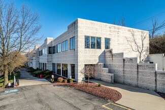 Plus de détails pour 600 Boyce Rd, Pittsburgh, PA - Industriel/Logistique à louer