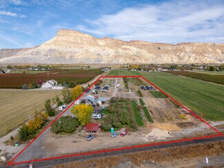 Plus de détails pour 3526 Front St, Palisade, CO - Spécialisé à vendre