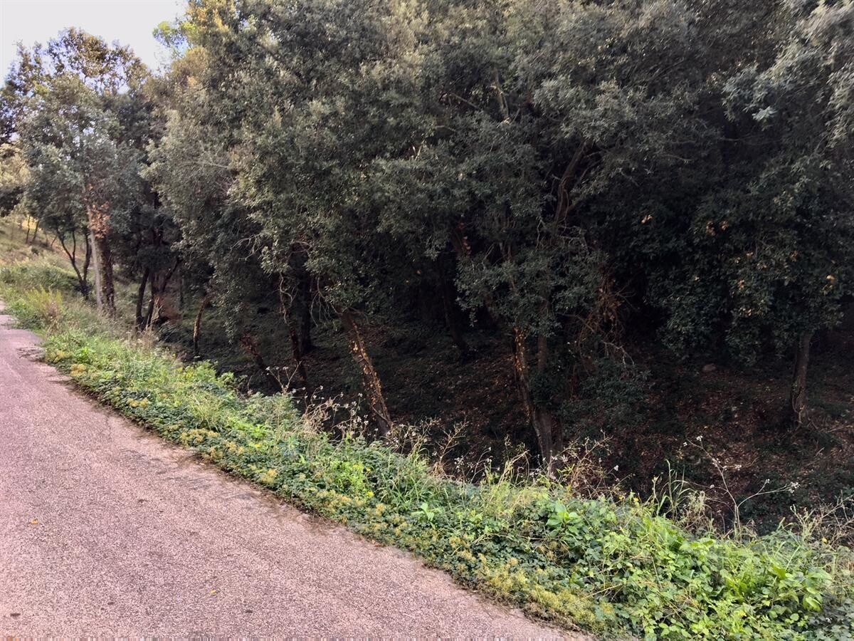 Carrer de Coll Monner, 10, Castellar del Vallès, Barcelona à vendre Autre– Image 1 sur 3