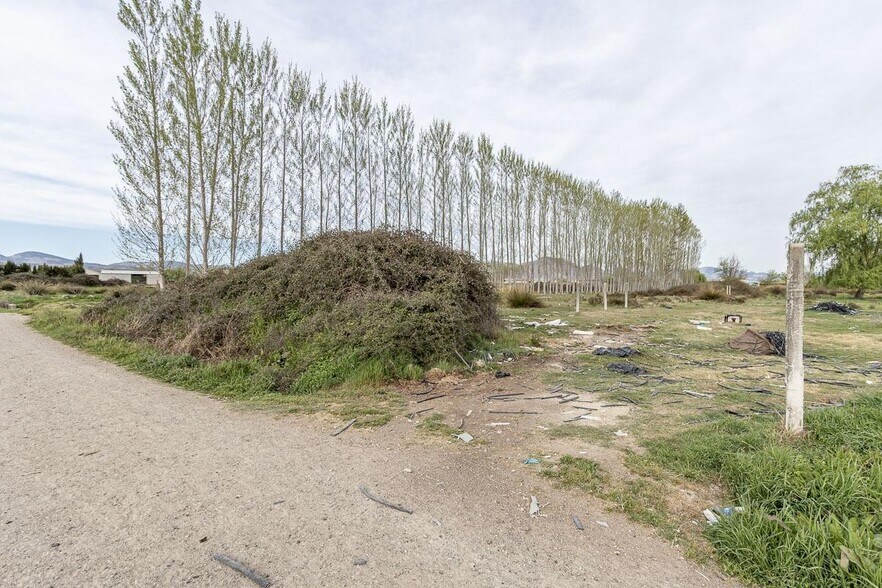 Fogariles, Fuente Vaqueros, Granada à vendre - Photo de l’immeuble – Image 3 sur 12