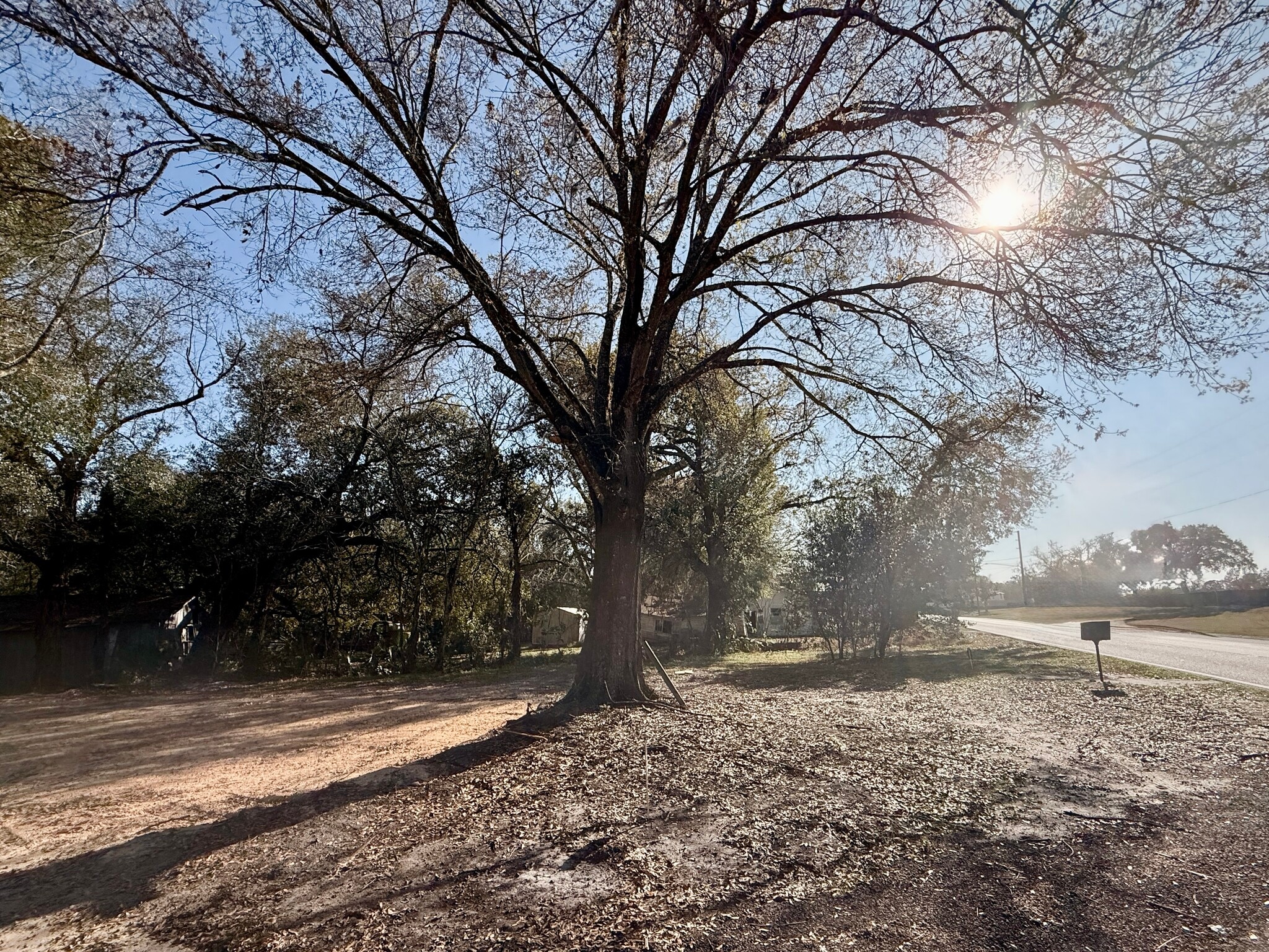 911 Marshall Farms Rd, Ocoee, FL à vendre Photo principale– Image 1 sur 13