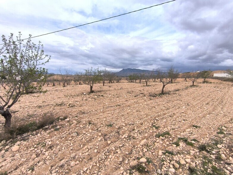 Terrain dans Yecla, Murcia à vendre - Plan de site – Image 2 sur 4