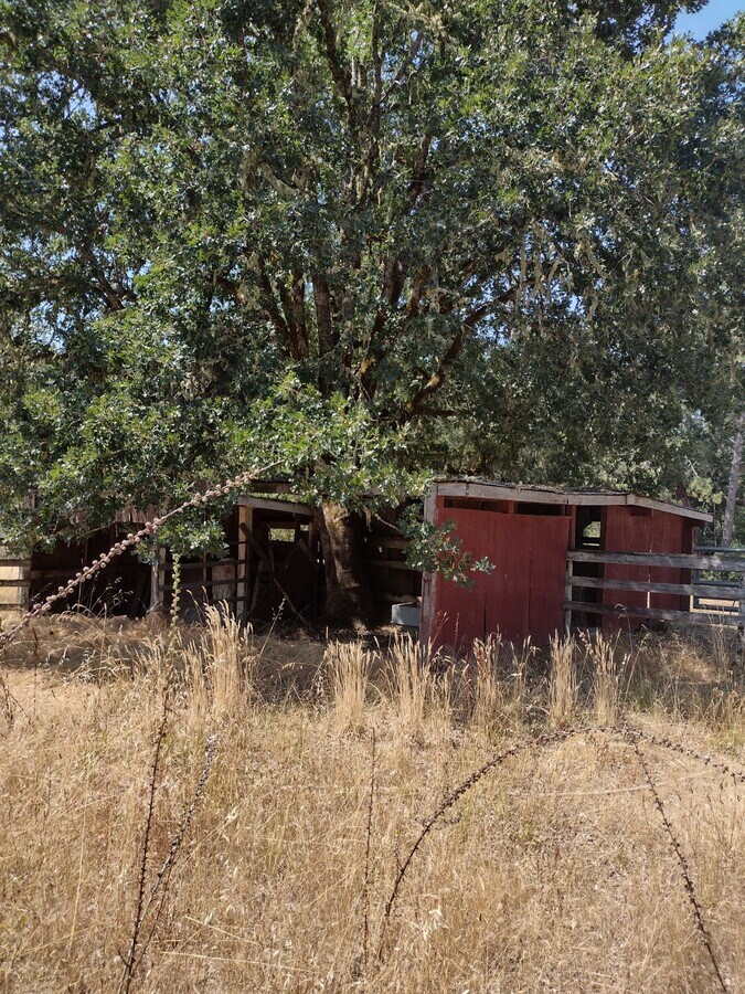 View Photo