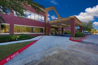 Plus de détails pour 111 Vision Park Blvd, Shenandoah, TX - Bureau/Médical à louer