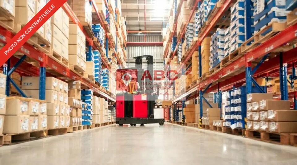 Local d’activités dans Mauguio à louer Photo intérieure– Image 1 sur 4