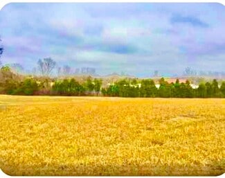 Plus de détails pour 0 N Old Mount Juliet Rd, Mount Juliet, TN - Terrain à vendre