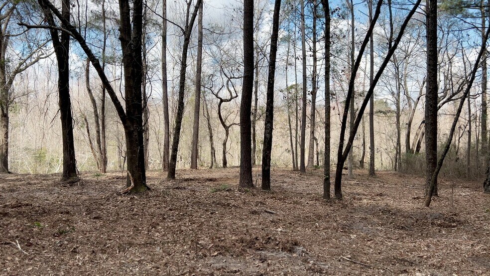 Victoria Blvd, Winnabow, NC à vendre - Vidéo sur l’annonce professionnelle – Image 3 sur 14