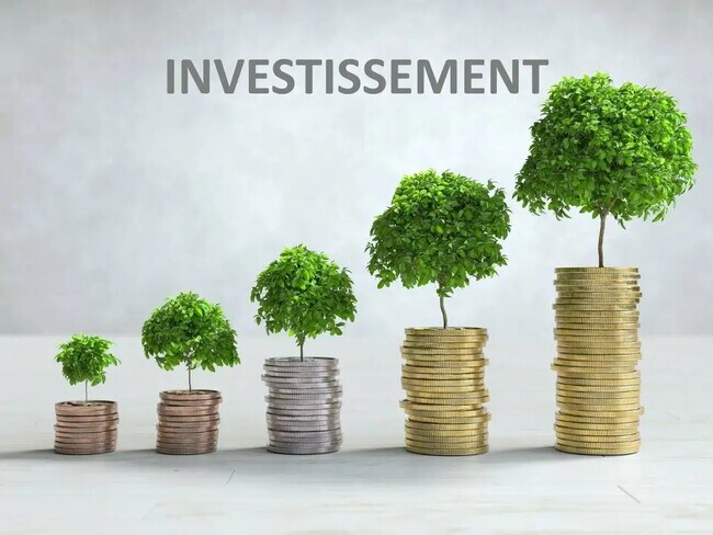 Plus de détails pour Industriel/Logistique à vendre