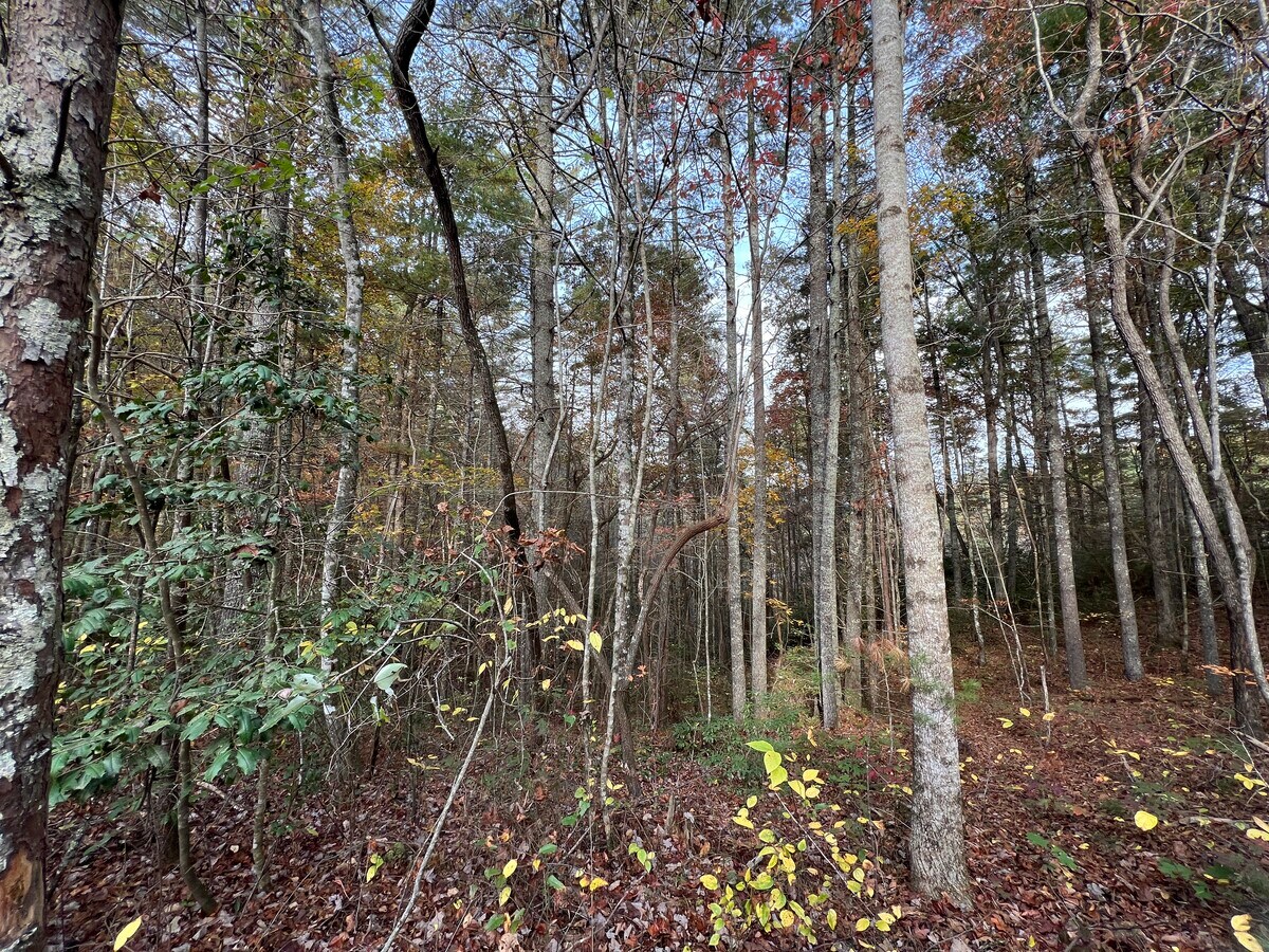 View Photo