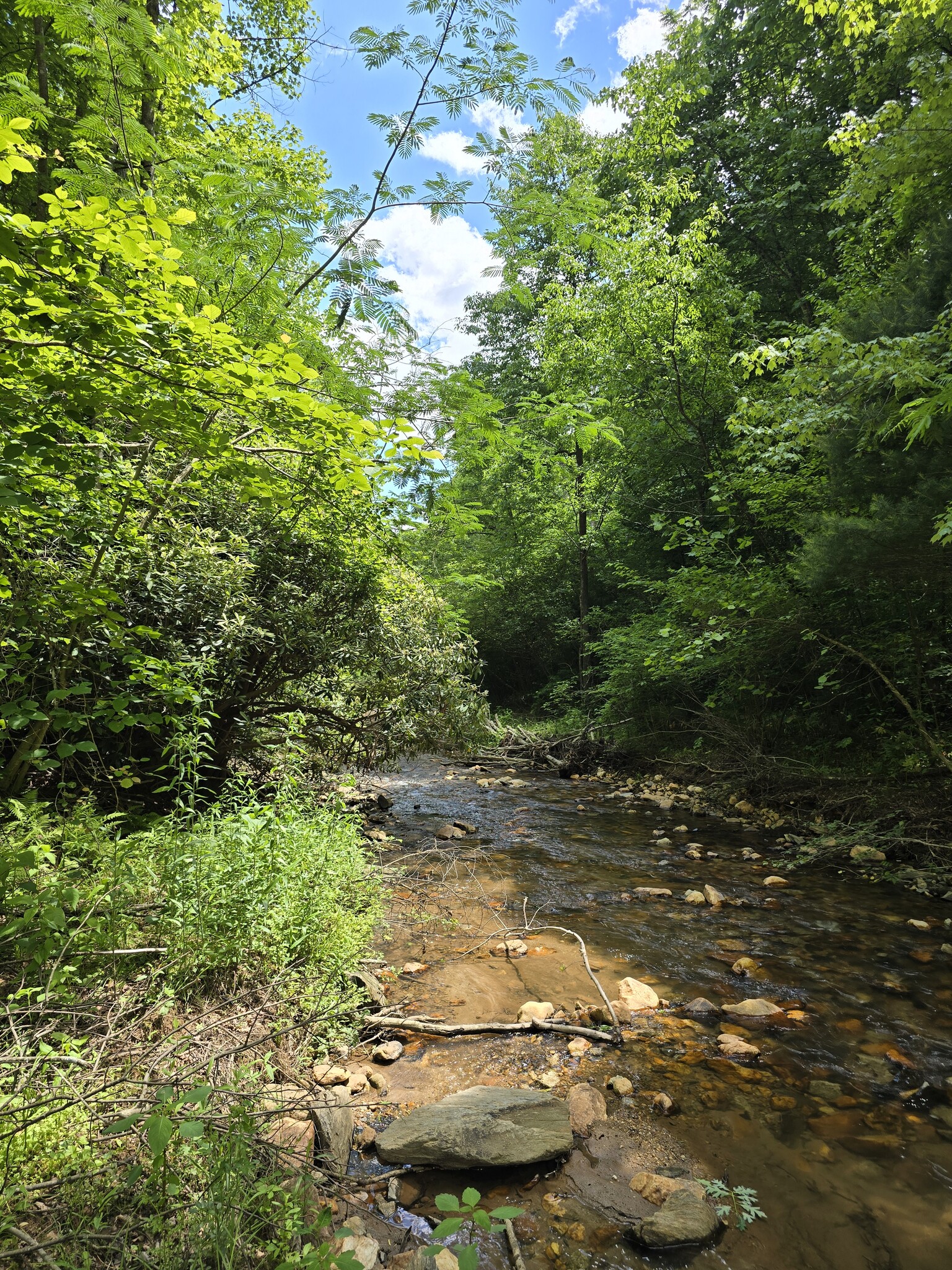 125 Ahart Ridge Rd, Ararat, VA à vendre Autre– Image 1 sur 29