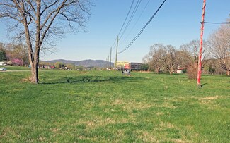 Plus de détails pour 7911 E Lamar Alexander Pky, Townsend, TN - Terrain à vendre