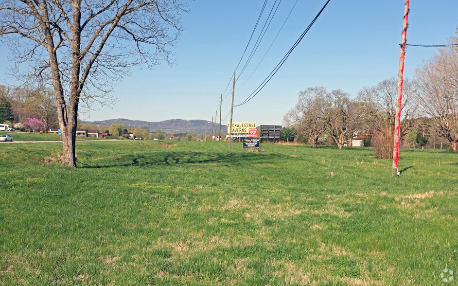 7911 E Lamar Alexander Pky, Townsend, TN à vendre - Photo principale – Image 1 sur 4