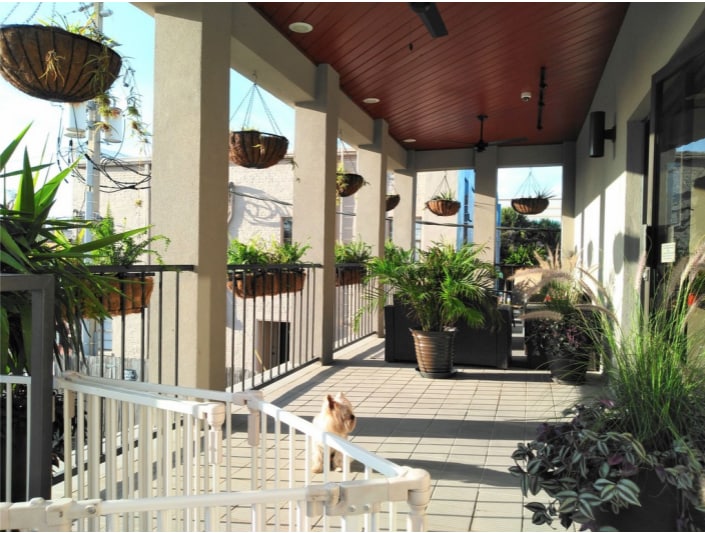 1 Scenic Central, Lake Wales, FL à louer Photo de l’immeuble– Image 1 sur 1