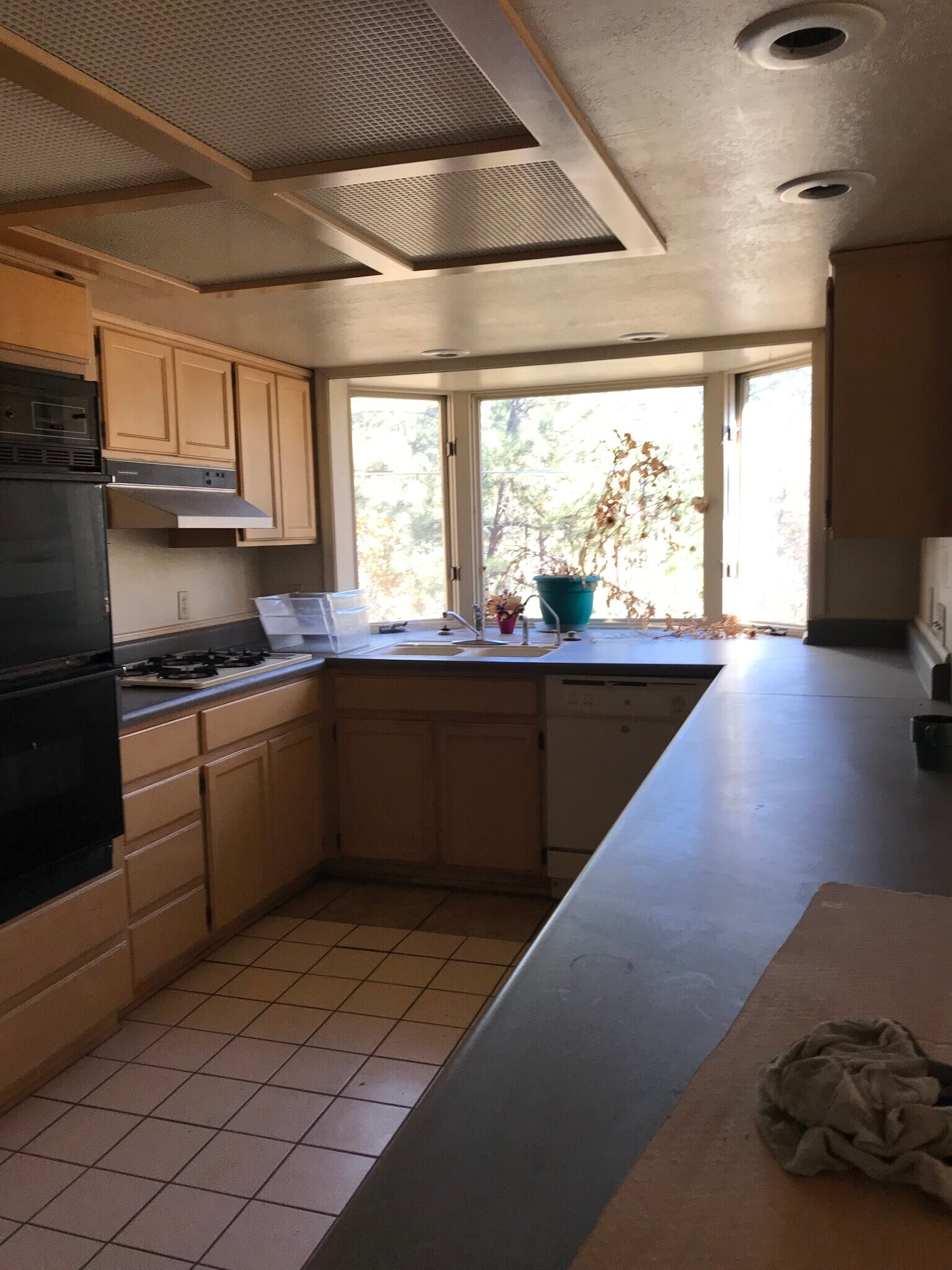 300 E White Mountain Blvd, Pinetop Lakeside, AZ à vendre Photo principale– Image 1 sur 8