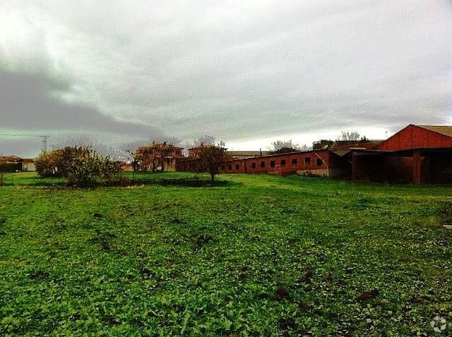Terrain dans Domingo Pérez, Toledo à vendre - Photo de l’immeuble – Image 2 sur 3