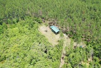 Plus de détails pour TBD McCray Road, Mayo, FL - Terrain à vendre