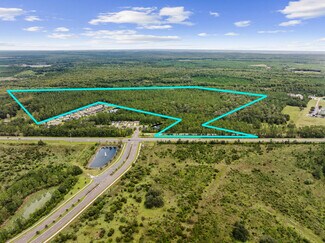 Plus de détails pour State Road 16, Saint Augustine, FL - Terrain à vendre