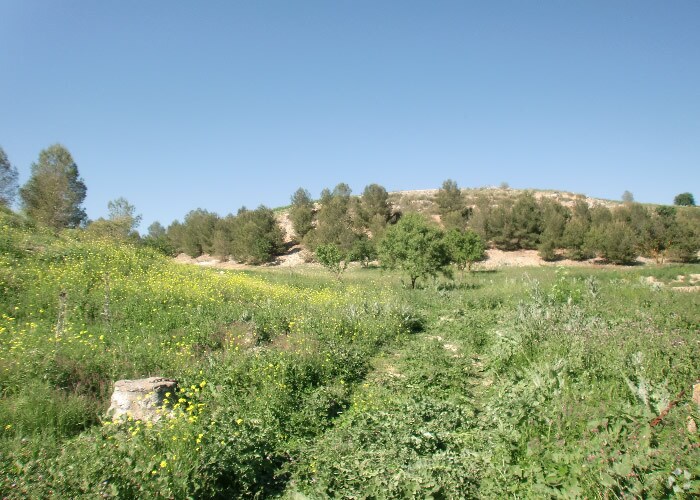Terrain dans Ocaña, Toledo à vendre - Photo de l’immeuble – Image 3 sur 22