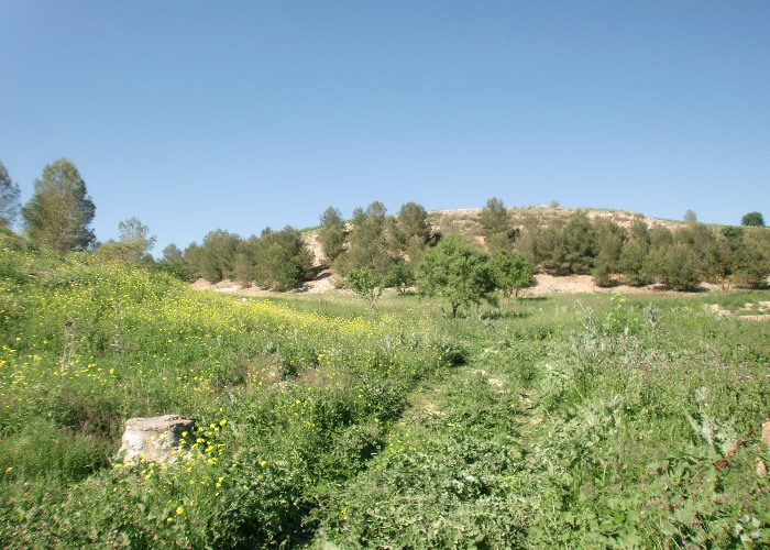 Terrain dans Ocaña, Toledo à vendre - Photo de l’immeuble – Image 3 sur 22