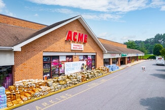 Plus de détails pour 3907-3957 Lincoln Hwy, Downingtown, PA - Local commercial à louer