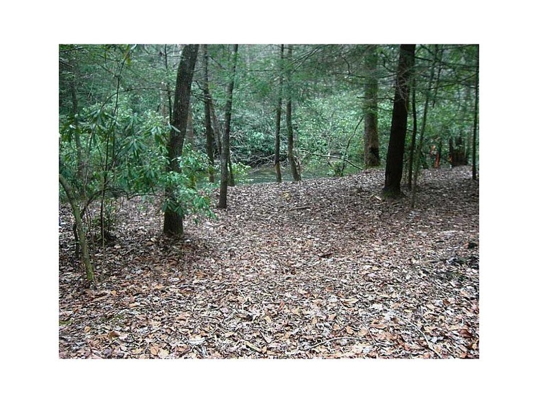 0 Richardson Rd, Winston, GA à vendre - Photo principale – Image 3 sur 8