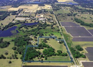 Plus de détails pour 36641 Blanton Rd, Dade City, FL - Terrain à vendre