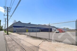 Plus de détails pour 4815 Cabot St, Detroit, MI - Industriel/Logistique à louer
