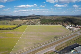 Plus de détails pour 009 Hwy 431, Owens Cross Roads, AL - Terrain à vendre