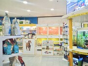 Foto interior