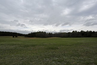 Plus de détails pour Ponderosa Service Rd, Wake Forest, NC - Terrain à vendre