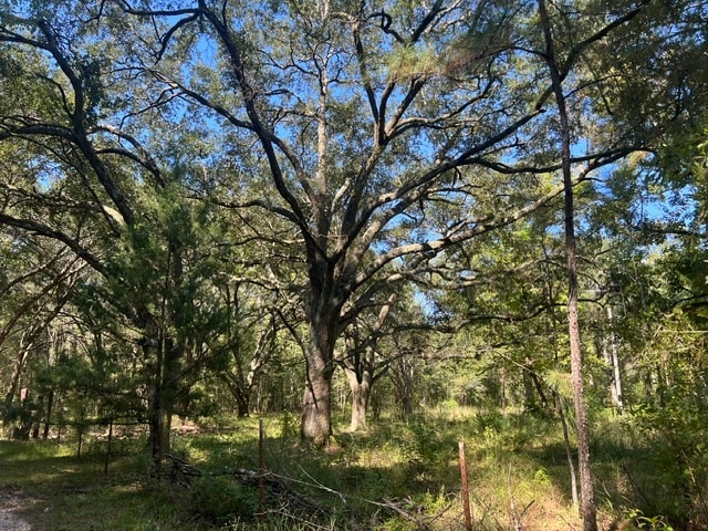 122 Carl W Ln, Greensburg, LA à vendre - Aérien – Image 3 sur 3