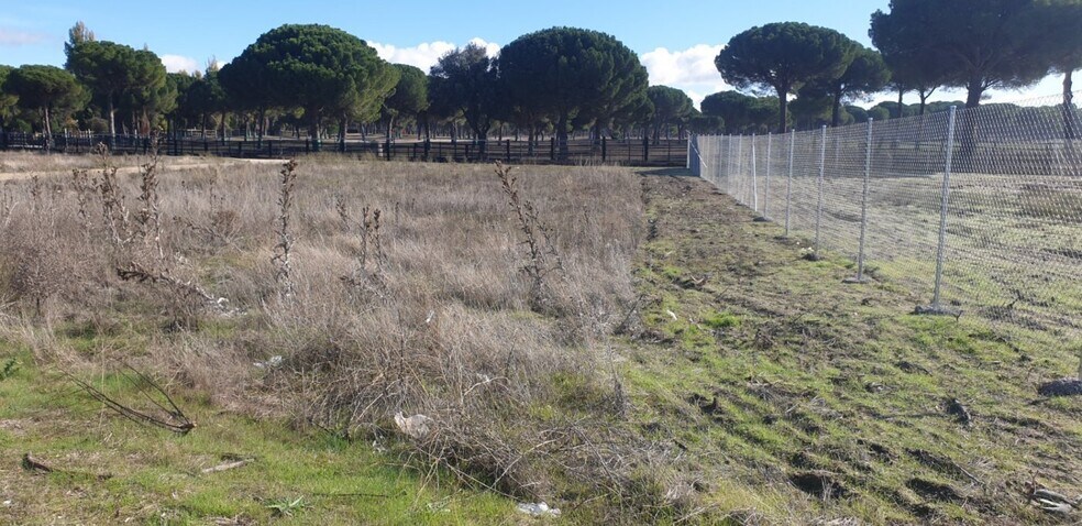 Terrain dans Aldeamayor de San Martín, Valladolid à vendre - Photo principale – Image 2 sur 25