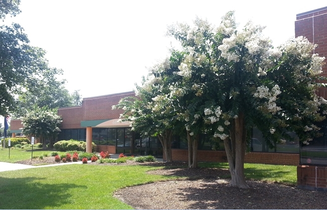 4401-4453 Crossings Blvd, Prince George, VA à louer - Photo de l’immeuble – Image 1 sur 6