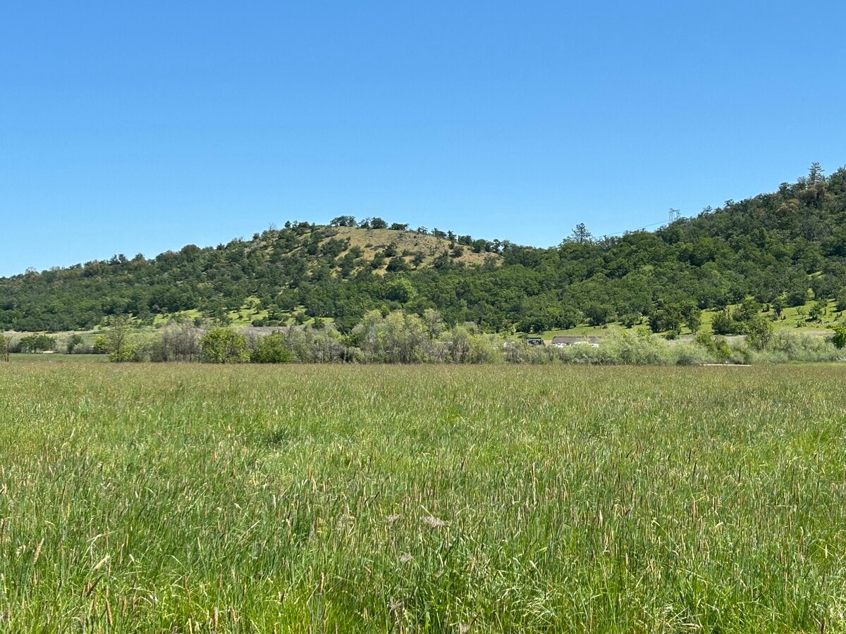 View Photo