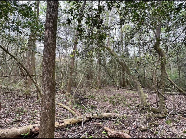 Eufaula Land in Barbour County, Eufaula, AL à vendre - Autre – Image 3 sur 5