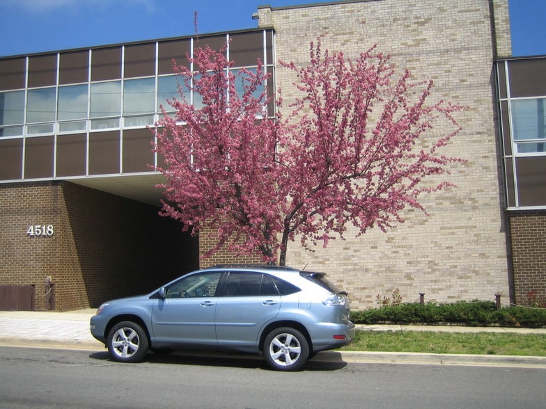 4514-4522 Beech Rd, Temple Hills, MD à louer - Photo de l’immeuble – Image 2 sur 6