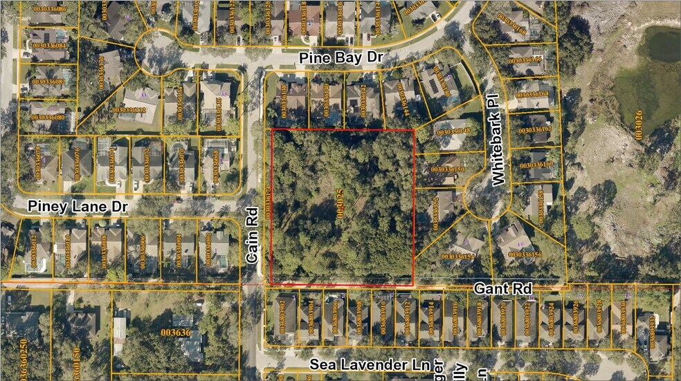 6501 Gant Rd, Tampa, FL à vendre - Photo de l’immeuble – Image 2 sur 24
